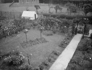 Mr J H Smiths garden in Mottigham, Kent. 1938