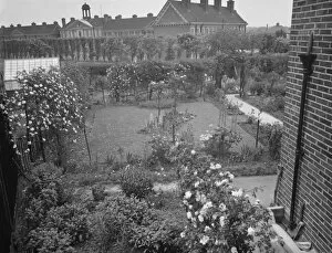 Gardens Collection: Mr J H Smiths garden in Mottigham, Kent. 1938