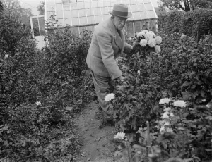 Mr JA Baxter, in his garden in Sidcup. 1935
