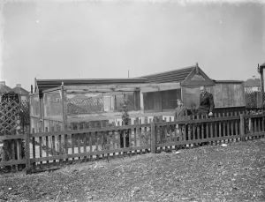 Fence Prints: Mr R G Halls bird aviary at Bexleyheath, Kent. 25 March 1938