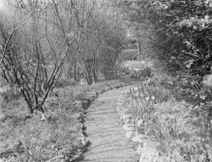 Mr Swans house and garden at 21 Rectory Lane in Sidcup, Kent. 1939