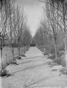 Mr Swans house and garden at 21 Rectory Lane in Sidcup, Kent. 1939