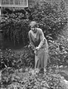 Mrs Annie Longhurst, window box prize winner at Crockenhill. 1938