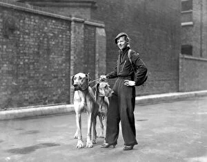 A Dog's Life Collection: Mrs. H. Parsons, of Hove, who for a bet, walked from Hove to Olympia with her great