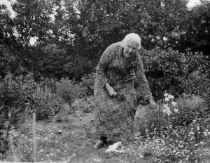 Elderly Prints: Mrs Matilda Jefferies of Chelsfield, Kent. 1936