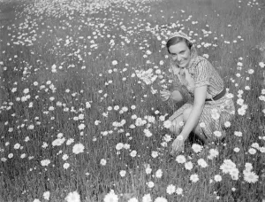 Beautiful Prints: Mrs Muriel Topham junior picking flowers in a field near Meopham, Kent