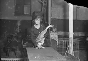 Show Collection: Mrs A R Cunliffe Owen with one of her Chinese ducks at the international poultry