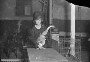 Mrs A R Cunliffe Owen with one of her Chinese ducks at the international poultry Mrs A R Cunliffe Owen with one of her Chinese ducks at the international poultry