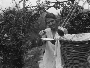 Animal Cracker Prints: Mrs White and a friendly thrush. 1936