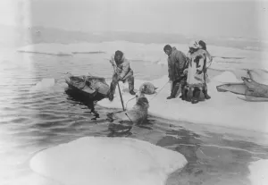 Near the pole. Mr and Mrs Kleinschmidt, of New York, on hunting expedition