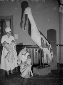 Apron Prints: New babies from the maternity ward encounter a model stork at the Russell Stoneham
