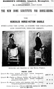The new home substitute for horse-riding Stimulates the liver, quickens the circulation