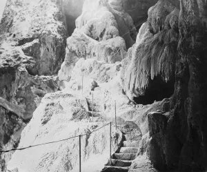 Natural World Prints: New South Wales. The Willows at Jenolan Caves. 2 April 1927