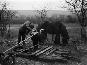 New water well at Fawkham. 1935