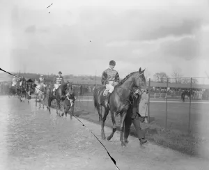 Animals Prints: At the Newbury Races. The Kings horse, Weathervane leads the parade. 14