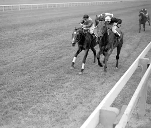 Newbury. Sabot (right), winner, nearing the finish of the Royal Plate 22 June 1938
