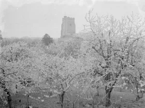 Chickens Prints: Newington church, Kent, see through the tree blossom. 1936