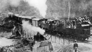 Soldier Prints: Nigerian troops entrained on the Northern Railway German Cameroon WWI