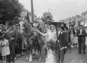 An old fashion wedding at Eltham Parish church. The bride and groom stand next to the horse