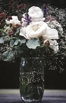 Roses Prints: Old fashioned posy of full blown roses and gypsophila aganst dark background credit
