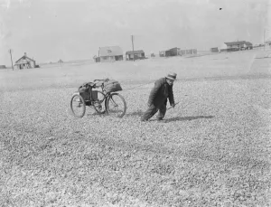 Pebbles Prints: An old man pulling his tricycle along the shingle beach at Dungeness in Kent with