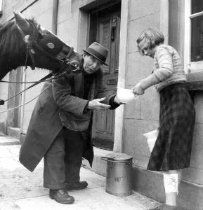 Old milkman and his affectionate horse, delivering milk from a churn in Monmouth, Wales