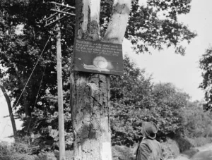 An old snail sign in Eynsford, Kent. 1936