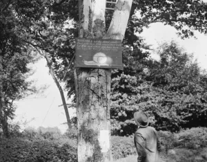 Quirky Prints: An old snail sign in Eynsford, Kent. 1936