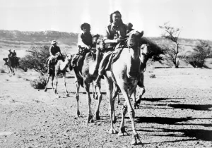 Oman: Led by Captain G. Jenkinson of the Royal Signals (home in sunningdale, berkshire)