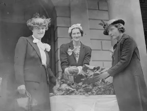 At the open - air produce market held at the outer court of St Peter s Church At the open - air produce market held at the outer court of St Peter s Church
