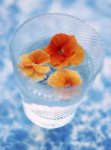 Blue Prints: Orange coloured pansy heads floating in water in fine glass tumbler on mottled bue