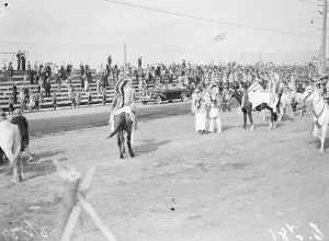 Original caption: Great Indian gathering in the honour of the King and Queen during