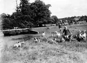 Hunt Prints: Otter Hunting, Eynsford. 1935
