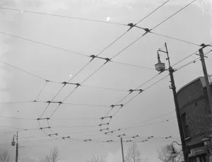 Overhead electrical trolleybus wires. 1937