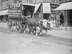 Show Collection: An ox drawn cart at Banbury 28 March 1923