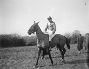 Oxford University point to point steeplechases at Stratton Audley. Lord Stavordale