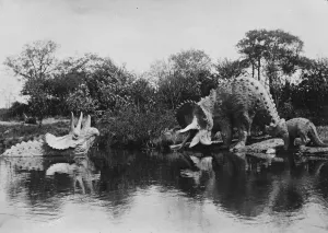 A pair of strange creature of the species known as triceratops prossus photographed