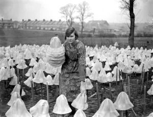 Panama Hat making at Messrs I. Cambis at Boreham Wood, Elstree. Collecting hats