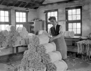 Panama Hat making at Messrs I. Cambis at Boreham Wood, Elstree. Tying bundles