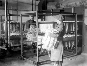 Panama Hat making at Messrs I. Cambis at Boreham Wood, Elstree. 1922