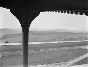 Panoram of Goodwood race course. 27 July 1929