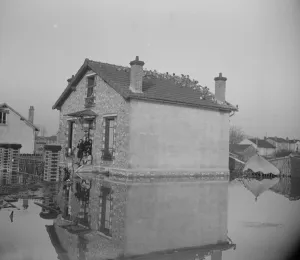 Paris and its suburbs under water. All the pigeons of the district hold a conference