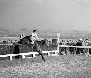 Pat Taaffe on Irish-trained Arkle takes the last fence ahead of English champion Mill House