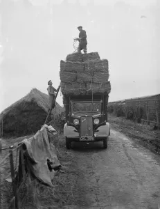 Pattullo Higgs and Co Ltd workers load hay bales onto their company Bedford truck