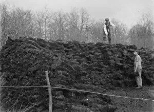 Farmers Collection: Peat in Kent. 1935