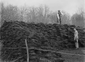 Fuel Prints: Peat in Kent. 1935