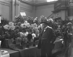 A peer in the Realm of Flowers. Lord Lambourne admiring the wonderful show of dahlias