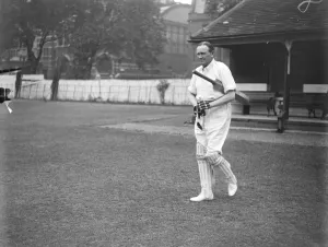 Peers and MPs at Cricket The House of Commons and the House of Lords opposed Westminster
