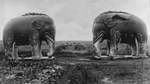 Now in Peril of capture. Nanking, some of the stone elephants in the Zoological