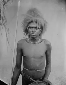 Peril in Kenya natives on the war path. Growing lawlessness among the Msi